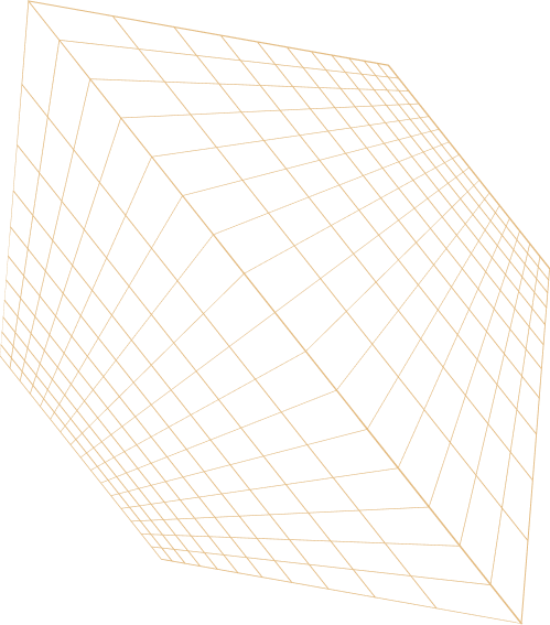 shape